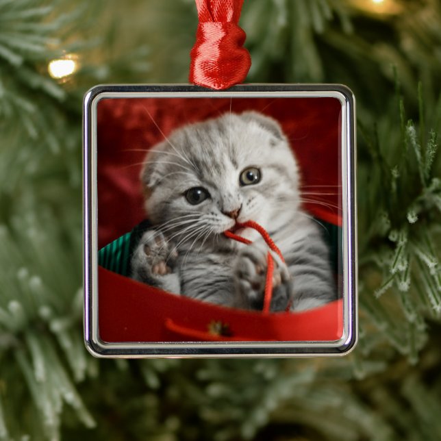 Adorno Metálico Animales de bebé más afectados | Gatito de peluche (Árbol)
