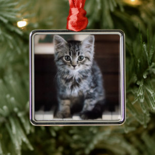 Adorno Metálico Animales de bebé más afectados   Gatito en llaves