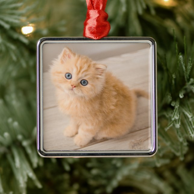 Adorno Metálico Animales de bebé más afectados | Gatito Longhair B (Árbol)