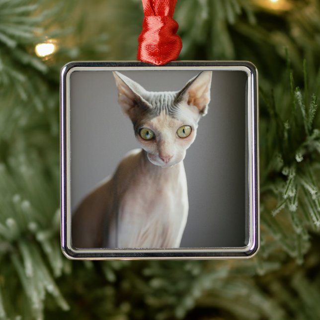 Adorno Metálico Animales de bebé más afectados | Gato de esfinge (Árbol)