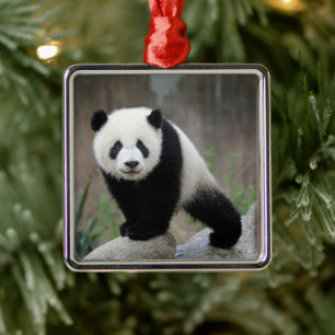 Adorno Metálico Animales de bebé más afectados Gigante Panda Bab