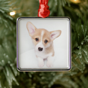 Adorno Metálico Animales de bebé más afectados Joven Corgi Puppy