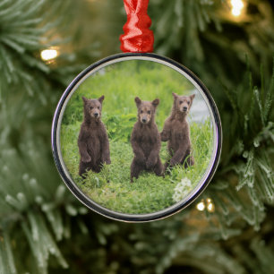 Adorno Metálico Animales de bebé más afectados Kamchatka Brown B