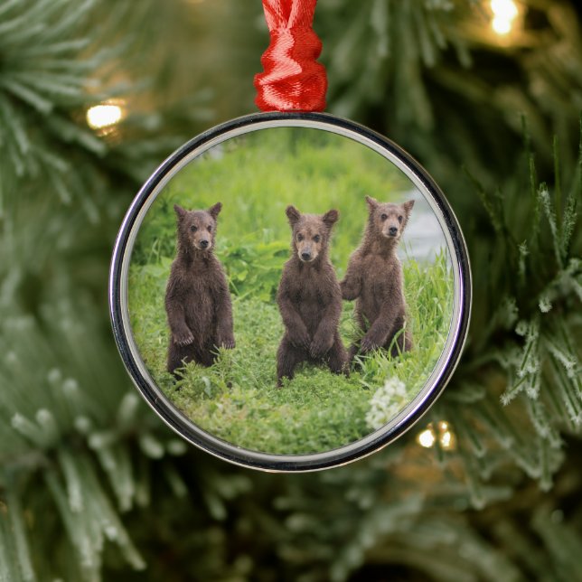 Adorno Metálico Animales de bebé más afectados | Kamchatka Brown B (Árbol)