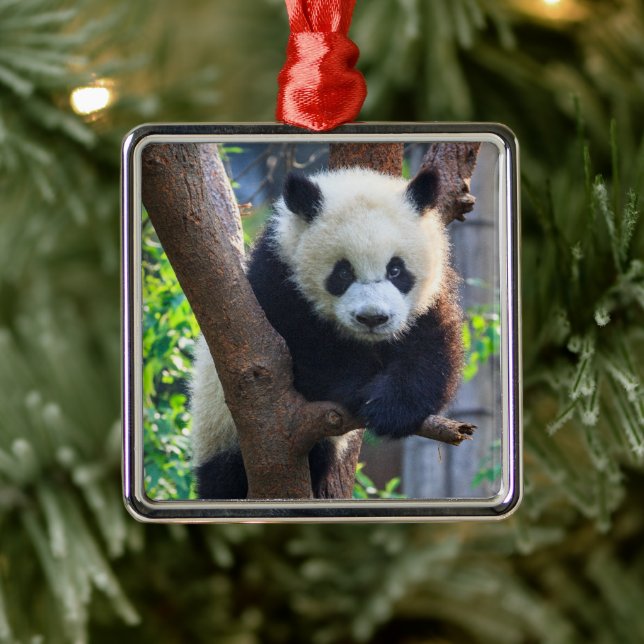 Adorno Metálico Animales de bebé más afectados | Panda Cub gigante (Árbol)