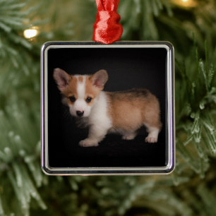 Adorno Metálico Animales de bebé más afectados Pequeño Corgi