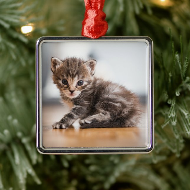 Adorno Metálico Animales de bebé más afectados | Pequeño Gatito De (Árbol)