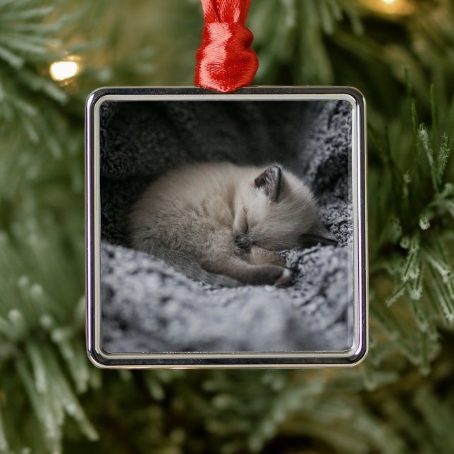 Adorno Metálico Animales de bebé más afectados | Pequeño Gatito Do (Árbol)