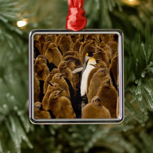Adorno Metálico Animales de bebé más afectados | Pingüino Entre Jó (Árbol)