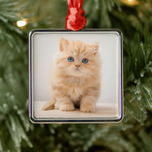 Adorno Metálico Animales de bebé más afectados   Un Gatito Británi