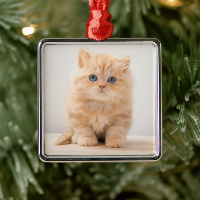 Adorno Metálico Animales de bebé más afectados | Un Gatito Británi (Árbol)