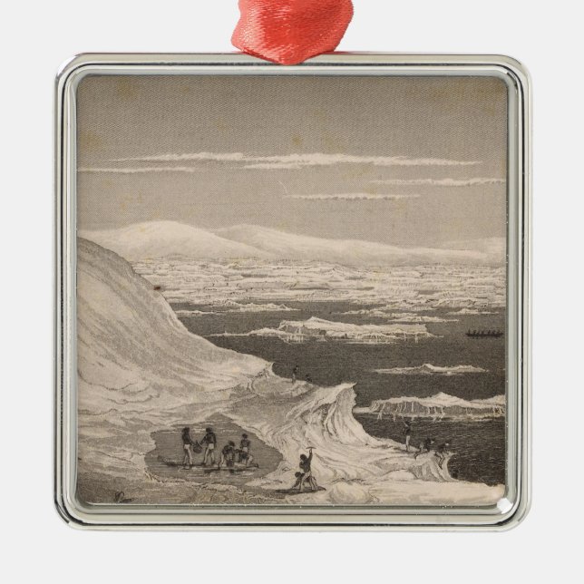 Adorno Metálico Antártida 2 (Frente)