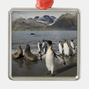 Adorno Metálico Antártida, Isla Georgia del Sur (Reino Unido), Ant