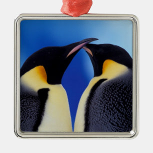 Adorno Metálico Antártida, Pingüinos Emperadores