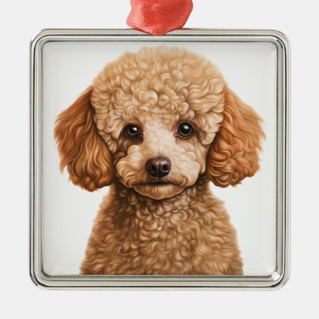 ADORNO METÁLICO APRICOT ADORABLE FRANCÉS POODLE PUPPG DOG (Frente)