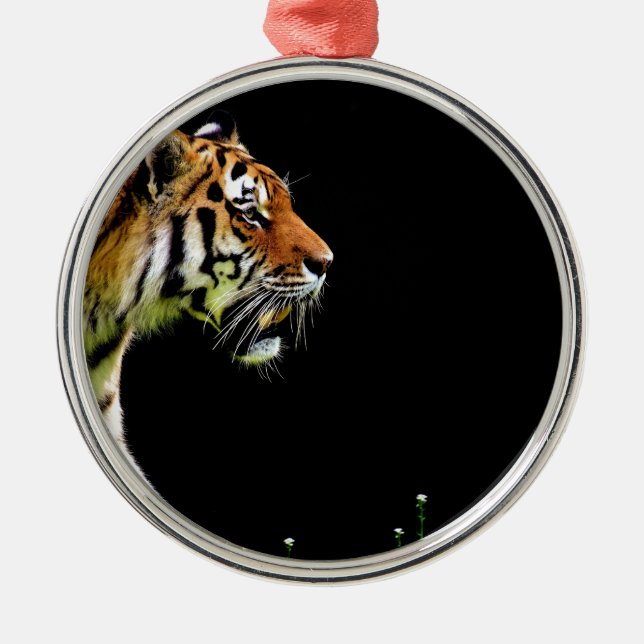 Adorno Metálico Aproximación de tigres - Arte de animales salvajes (Frente)