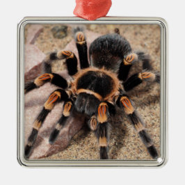 Adorno Metálico Araña Tarantula de rodilla roja mexicana