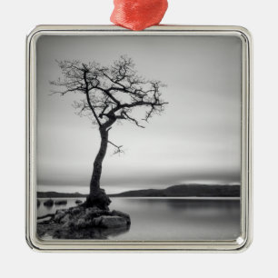 Adorno Metálico Árbol desnudo solo