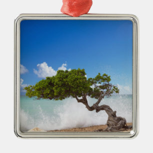 Adorno Metálico Árbol Divi Divi, Playa Eagle, Aruba, Caribe