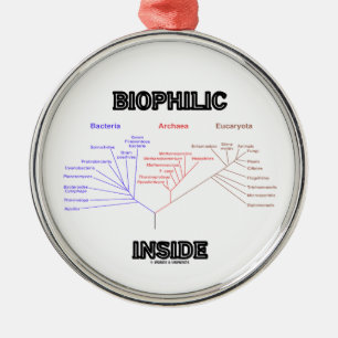 Adorno Metálico Árbol filogenético del interior Biophilic de la