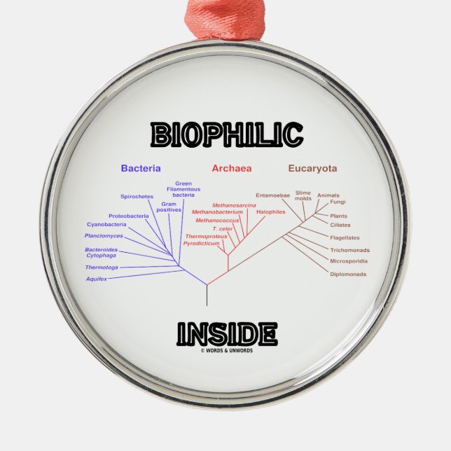 Adorno Metálico Árbol filogenético del interior Biophilic de la (Frente)