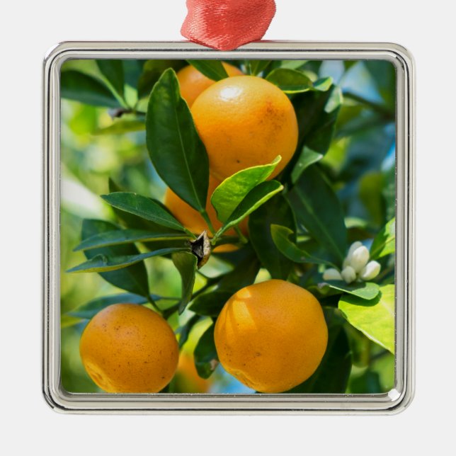 Adorno Metálico Árbol Naranja frutado (Frente)