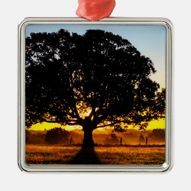 Adorno Metálico Árbol por la mañana (Frente)