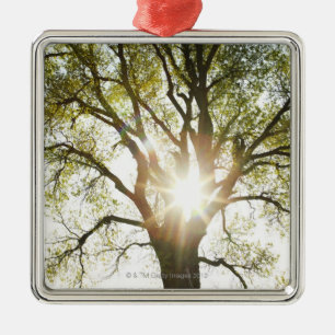 Adorno Metálico Árbol Sunlit