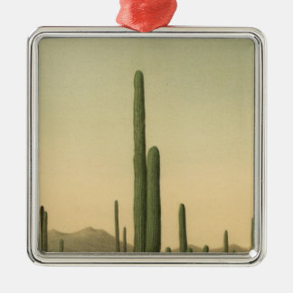 Adorno Metálico Arboleda del cactus, Arizona