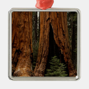 Adorno Metálico Árboles de secoya, Parque Nacional Sequoia.