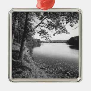 Adorno Metálico Árboles por el río B&W