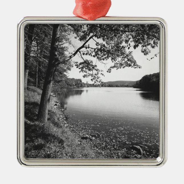 Adorno Metálico Árboles por el río B&W (Frente)