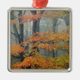 Adorno Metálico Arce rojo, Acer rubrum, retrato en niebla
