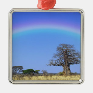 Adorno Metálico Arcoíris y baobab africano, Adansonia