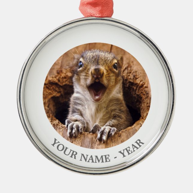 Adorno Metálico Ardilla chocada (Frente)