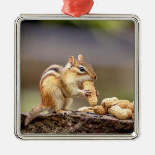 Adorno Metálico Ardilla comiendo un cacahuete