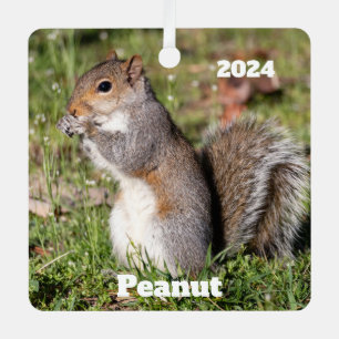 Adorno Metálico Ardilla gris personalizada