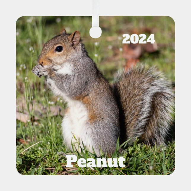 Adorno Metálico Ardilla gris personalizada (Anverso)