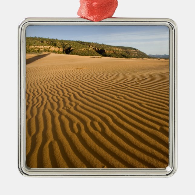 Adorno Metálico Arena y dunas en Coral Pink Sand 2 (Frente)