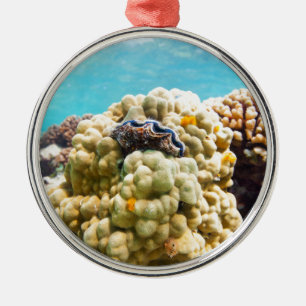Adorno Metálico Arrecife de coral