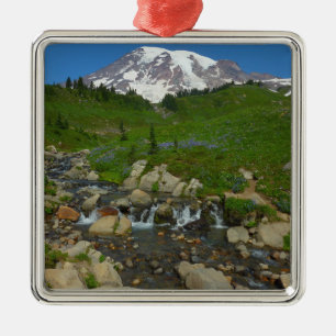 Adorno Metálico Arroyo Edith en el Parque Nacional Monte Rainier