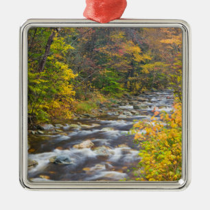 Adorno Metálico Arroyo Rugiente en otoño en Green 2 de Vermont