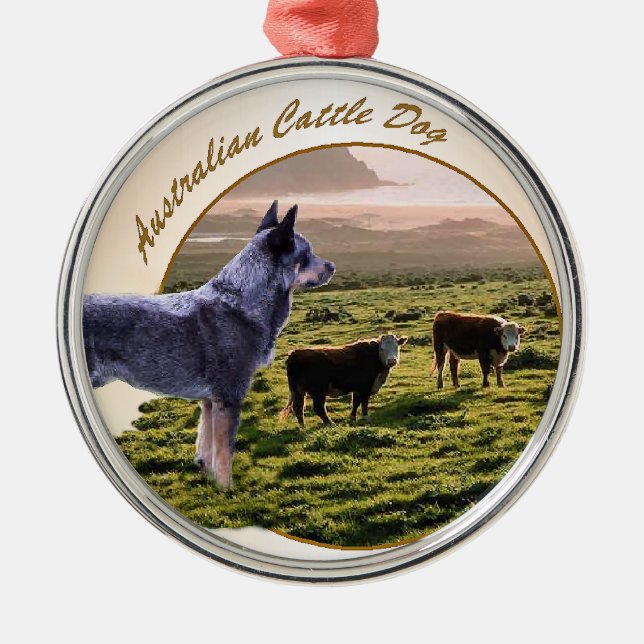 Adorno Metálico Arte de perros de ganado vacuno australiano (Frente)