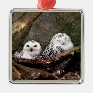 Adorno Metálico Arte de vida silvestre del bosque de pareja de búh