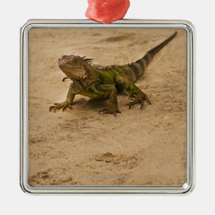 Adorno Metálico Aruba, lagarto en la arena