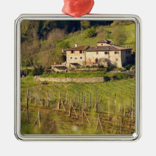 Adorno Metálico Aschuito, una granja que acepta clientes,