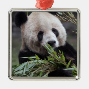 Adorno Metálico Asia, China Chongqing. Giant Panda