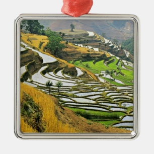Adorno Metálico Asia, China, Yunnan, prefectura de Yuxi; Yuanjiang