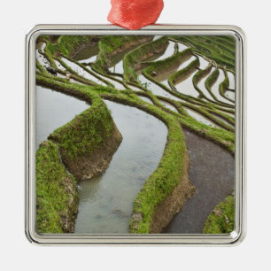 Adorno Metálico Asia, China, Yunnan, Yuanyang. Arroz inundado