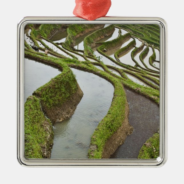 Adorno Metálico Asia, China, Yunnan, Yuanyang. Arroz inundado (Frente)